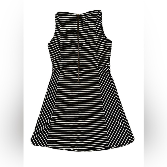 J. Crew Striped Fit and Flare Paneled Knit Dress in Black and White Size 6 - Picture 6 of 6